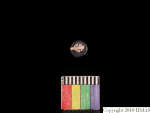 L_V23d1156 J1q375.1 Ux03 dM bd f130.jpg L_V23d1156 J1q375.1 Ux03 dM bd f130